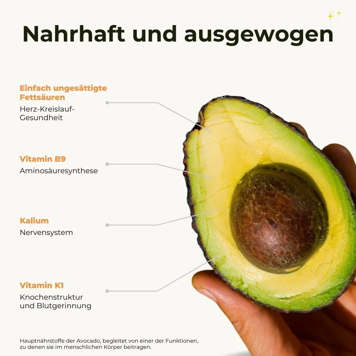 Vorschaubild 11