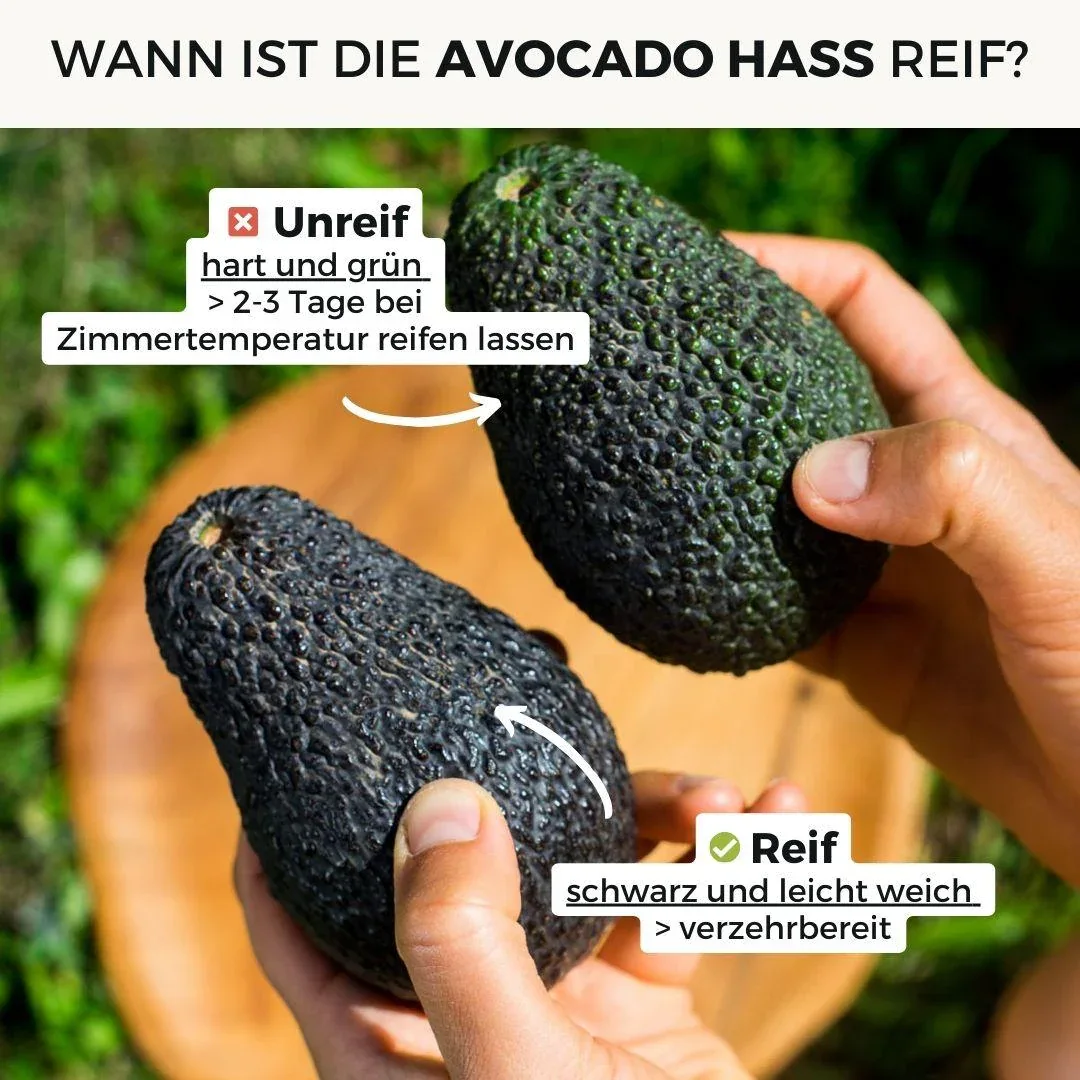 Vorschaubild 12