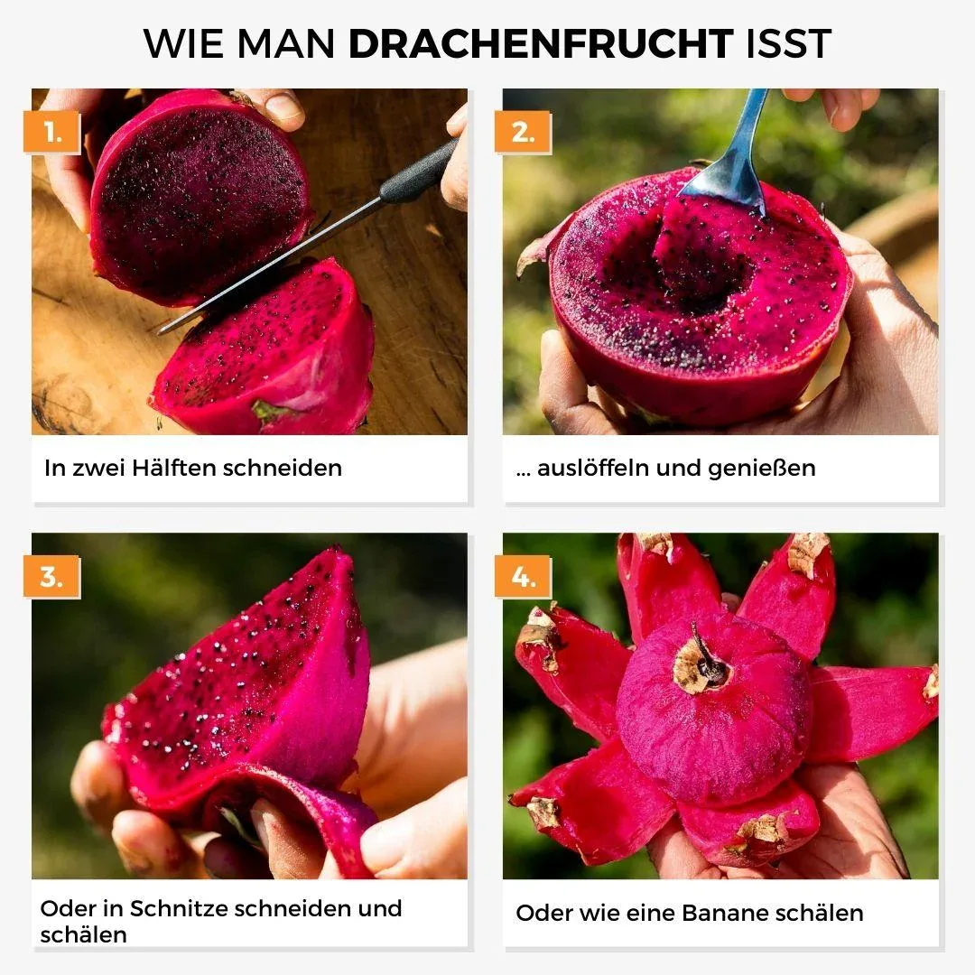 Vorschaubild 9