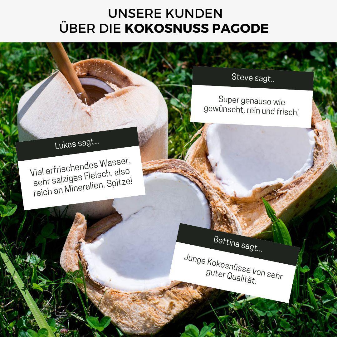 Vorschaubild 10