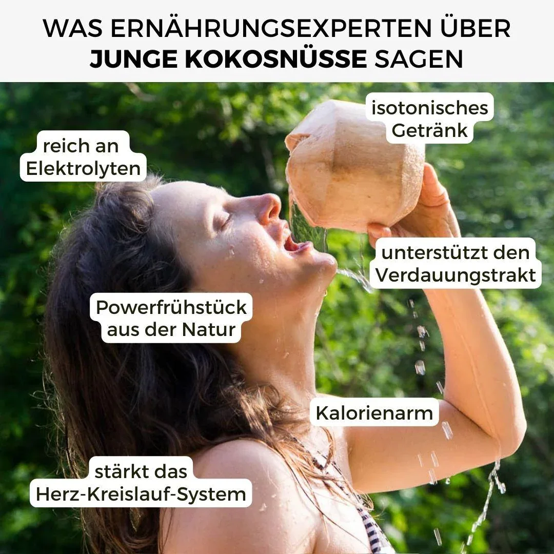 Vorschaubild 14