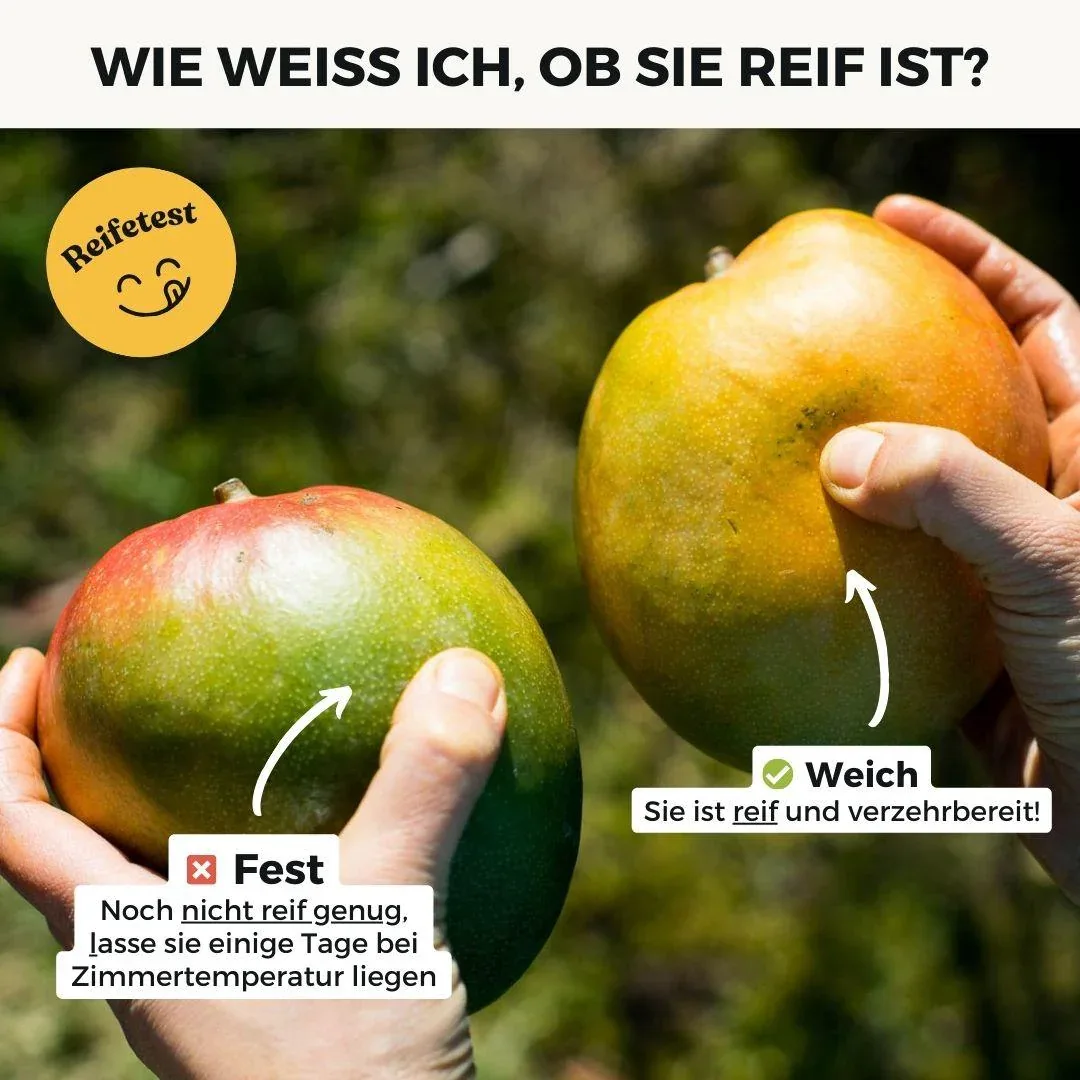 Vorschaubild 12