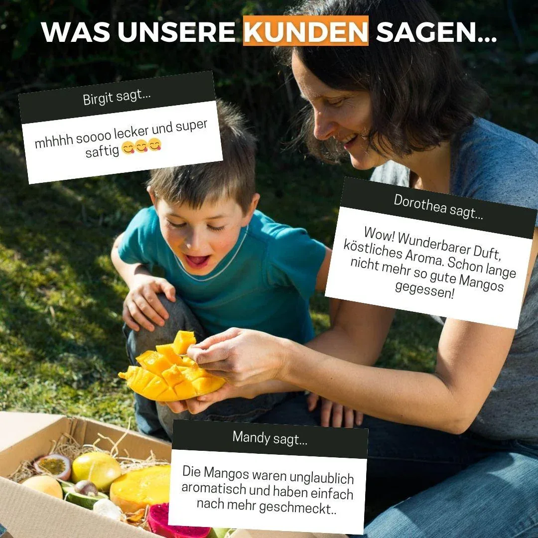 Vorschaubild 13