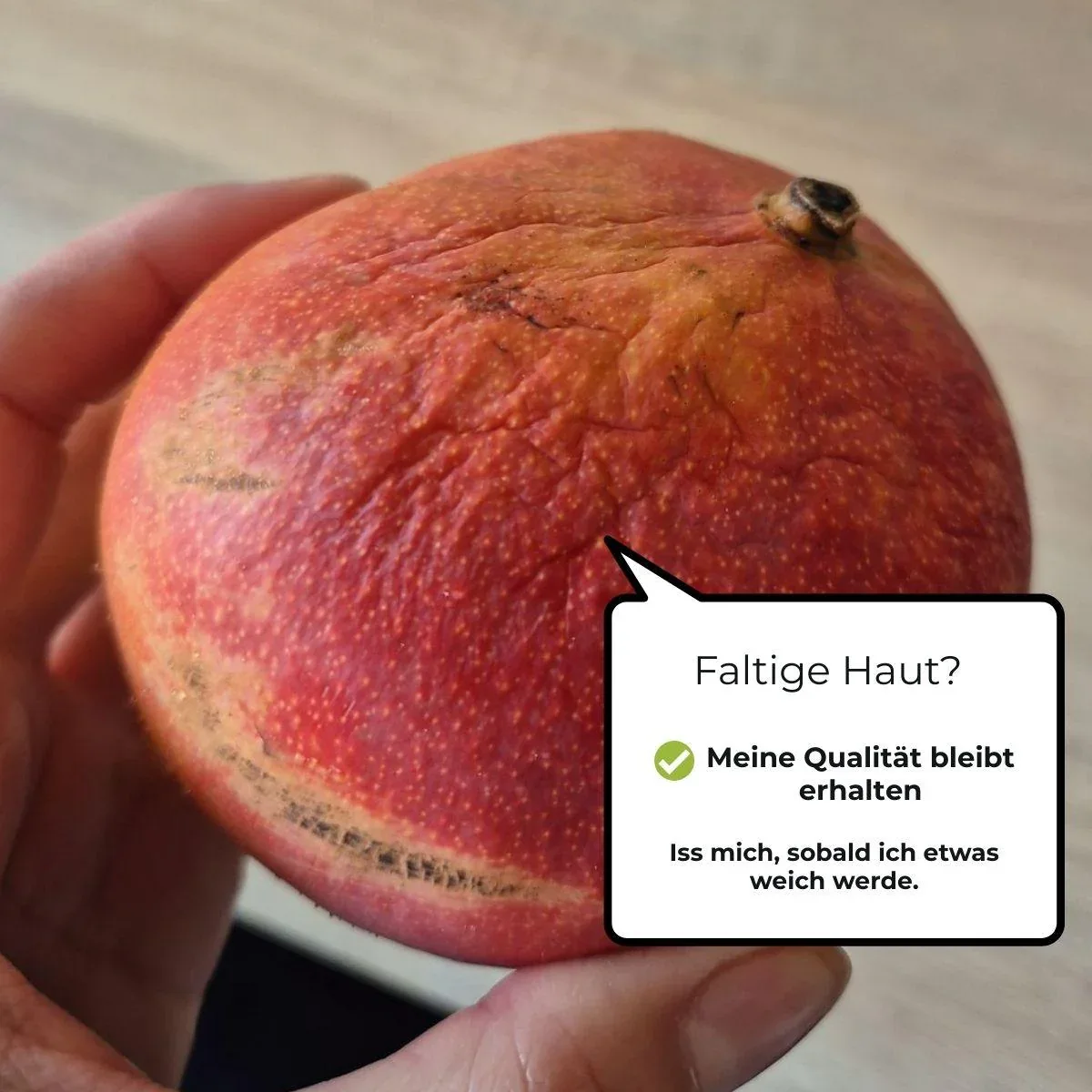 Vorschaubild 14
