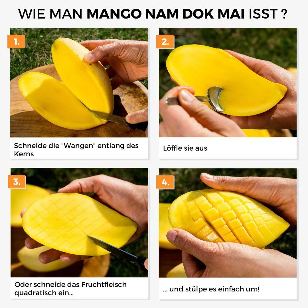 Vorschaubild 8