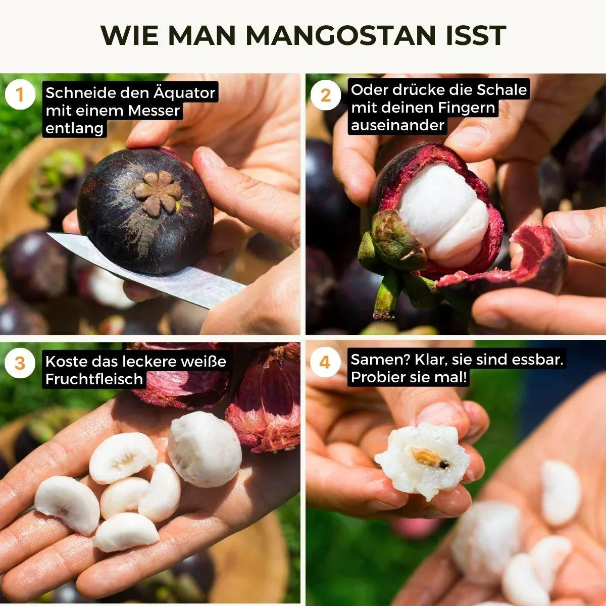 Vorschaubild 15