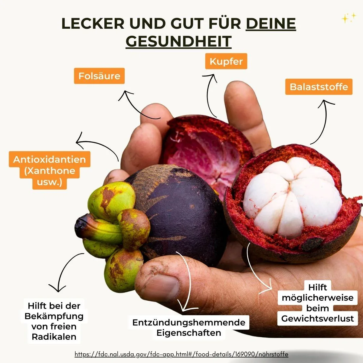 Vorschaubild 16