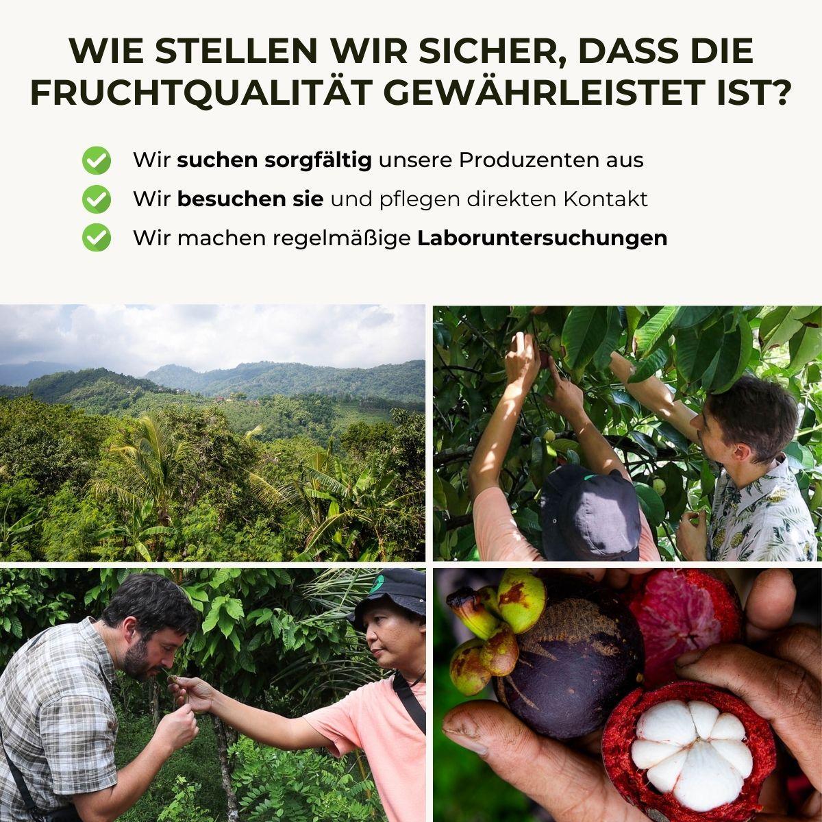 Vorschaubild 8