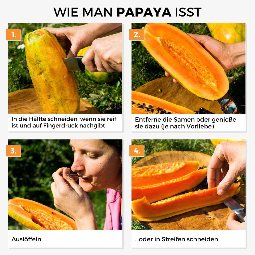 Vorschaubild 4