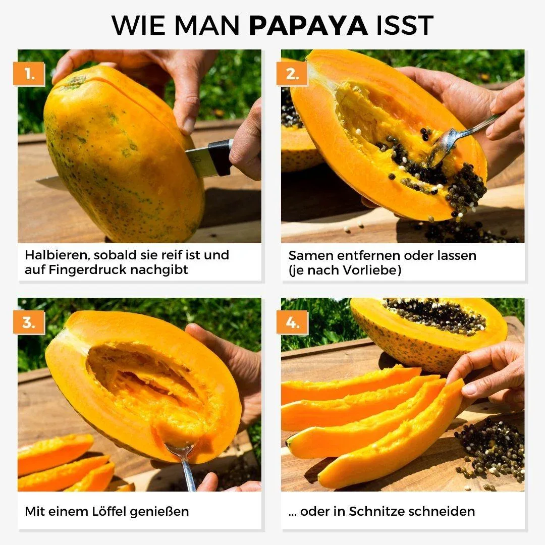 Vorschaubild 5
