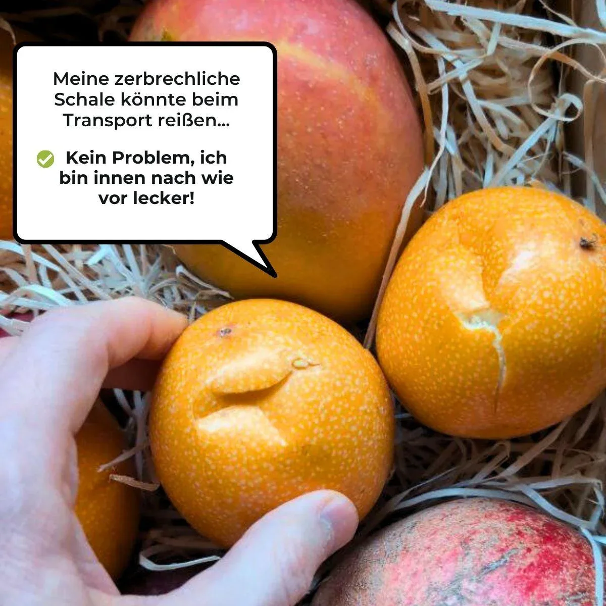Vorschaubild 11