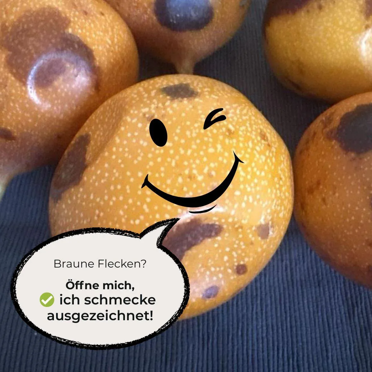 Vorschaubild 12