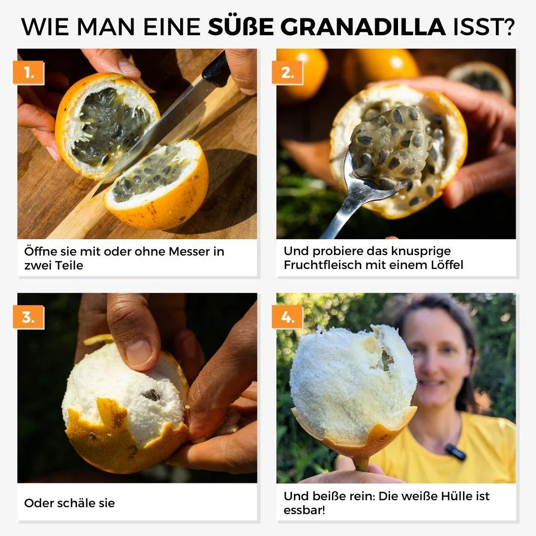 Vorschaubild 9